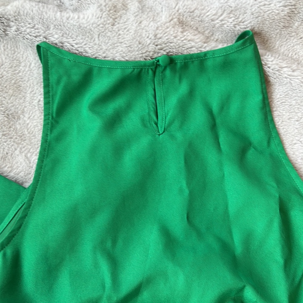 Express Dress - Picture 4 of 6